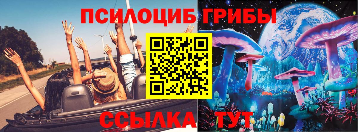 Галлюциногенные грибы Psilocybe  Вход с VPN  Сорочинск 